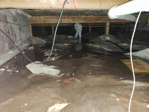 Best Sewage Cleanup and Restoration in Medina, TN